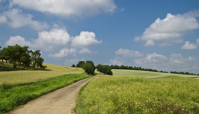 Expropriation et qualification du terrain à bâtir : impossibilité pour le juge de prendre en considération un projet de révision du plan de prévention des risques